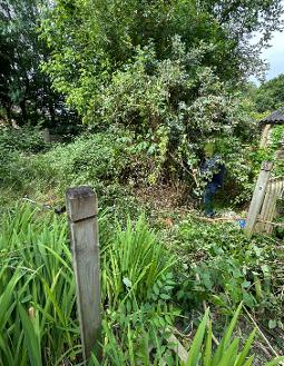 GARDEN OVERGROWN 